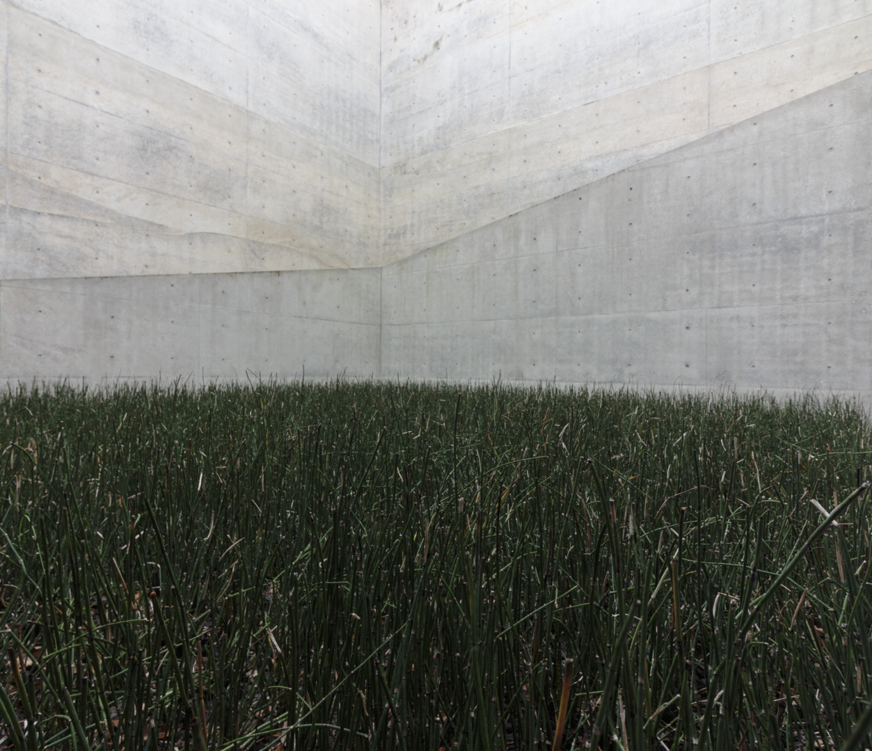 直島|地中美術館|安藤忠雄|ar'teryx ZIN'|田畑雅行|ar'teryx|建築設計室 アーキテリクス