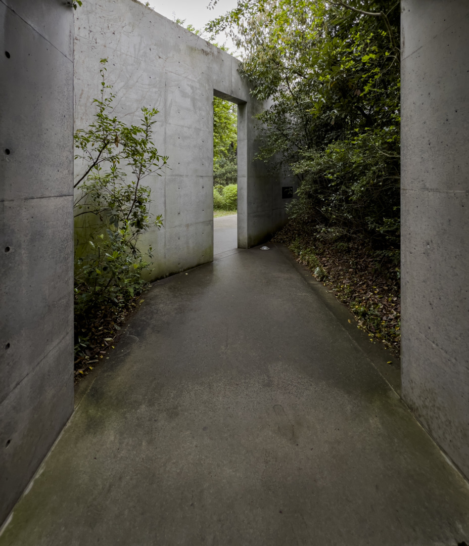 直島｜地中美術館｜安藤忠雄｜ar'teryx ZIN'｜田畑雅行｜ar'teryx｜建築設計室 アーキテリクス