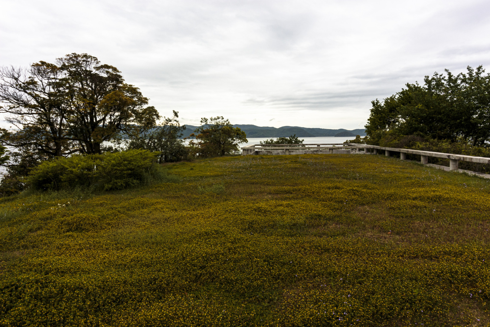 直島|ベネッセハウス|安藤忠雄|ar'teryx ZIN'|田畑雅行|ar'teryx|建築設計室 アーキテリクス