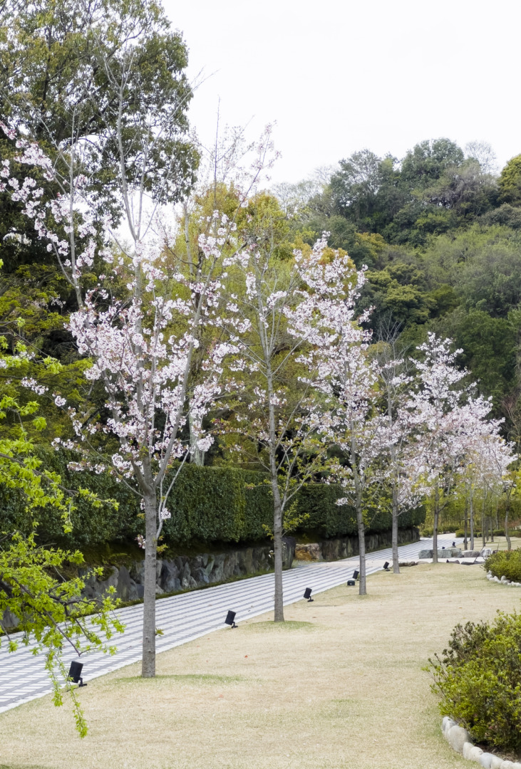 如庵｜長谷川等伯｜犬山城｜ホテルインディゴ犬山有楽苑｜ar'teryx ZIN'｜田畑雅行｜ar'teryx｜建築設計室 アーキテリクス