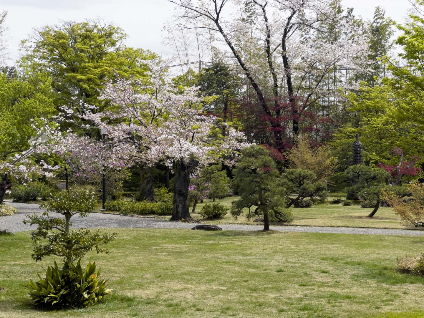 如庵|長谷川等伯|犬山城|ホテルインディゴ犬山有楽苑|ar'teryx ZIN'|田畑雅行|ar'teryx|建築設計室 アーキテリクス