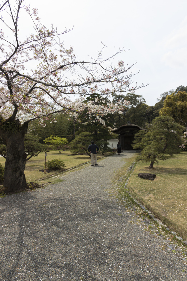 如庵｜長谷川等伯｜犬山城｜ホテルインディゴ犬山有楽苑｜ar'teryx ZIN'｜田畑雅行｜ar'teryx｜建築設計室 アーキテリクス