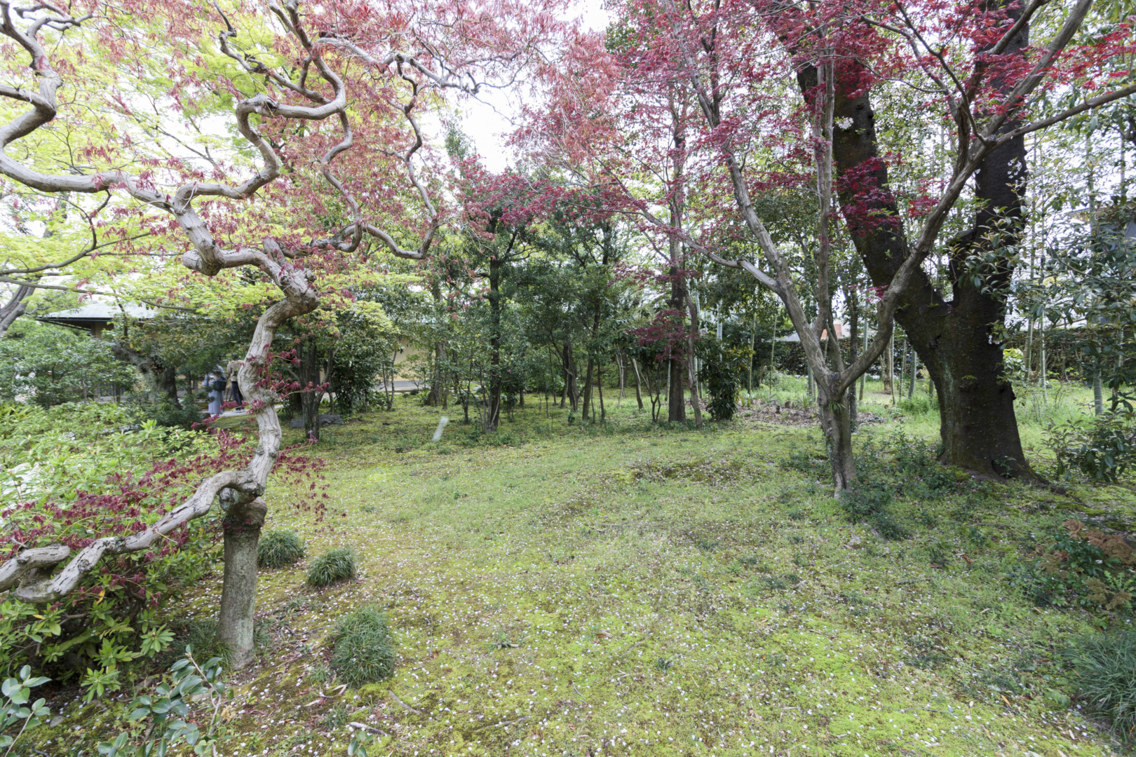 如庵|長谷川等伯|犬山城|ホテルインディゴ犬山有楽苑|ar'teryx ZIN'|田畑雅行|ar'teryx|建築設計室 アーキテリクス