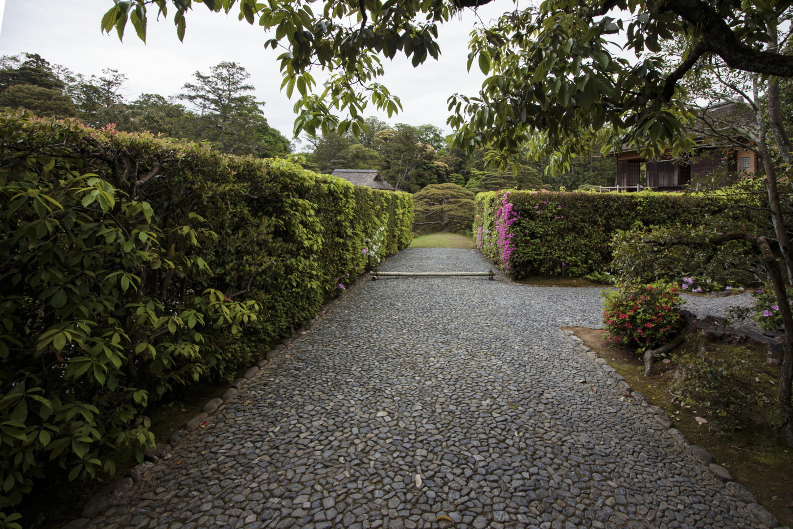京都 桂離宮 穂垣 御幸門 表門 腰掛 蘇鉄山 松琴亭 賞花亭 笑意軒 園林堂 書院 月波楼 中門｜ar'teryx ZIN'｜田畑雅行｜ar'teryx｜建築設計室 アーキテリクス｜名古屋の設計事務所