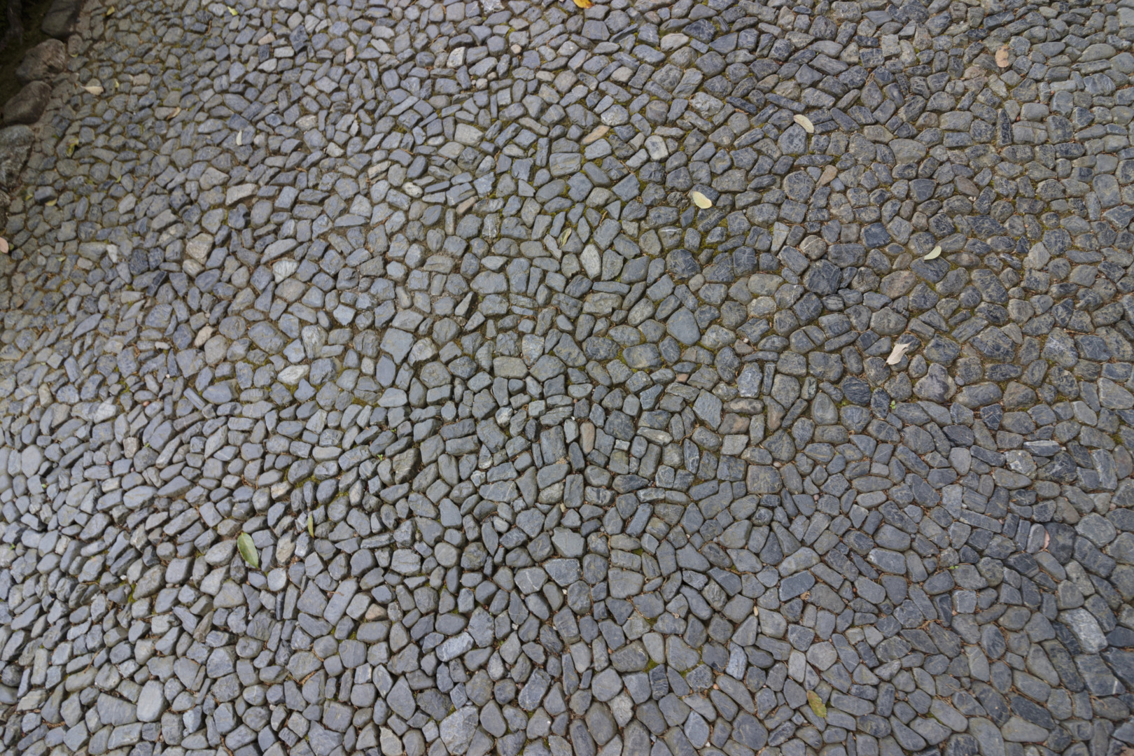 京都 桂離宮 穂垣 御幸門 表門 腰掛 蘇鉄山 松琴亭 賞花亭 笑意軒 園林堂 書院 月波楼 中門｜ar'teryx ZIN'｜田畑雅行｜ar'teryx｜建築設計室 アーキテリクス｜名古屋の設計事務所
