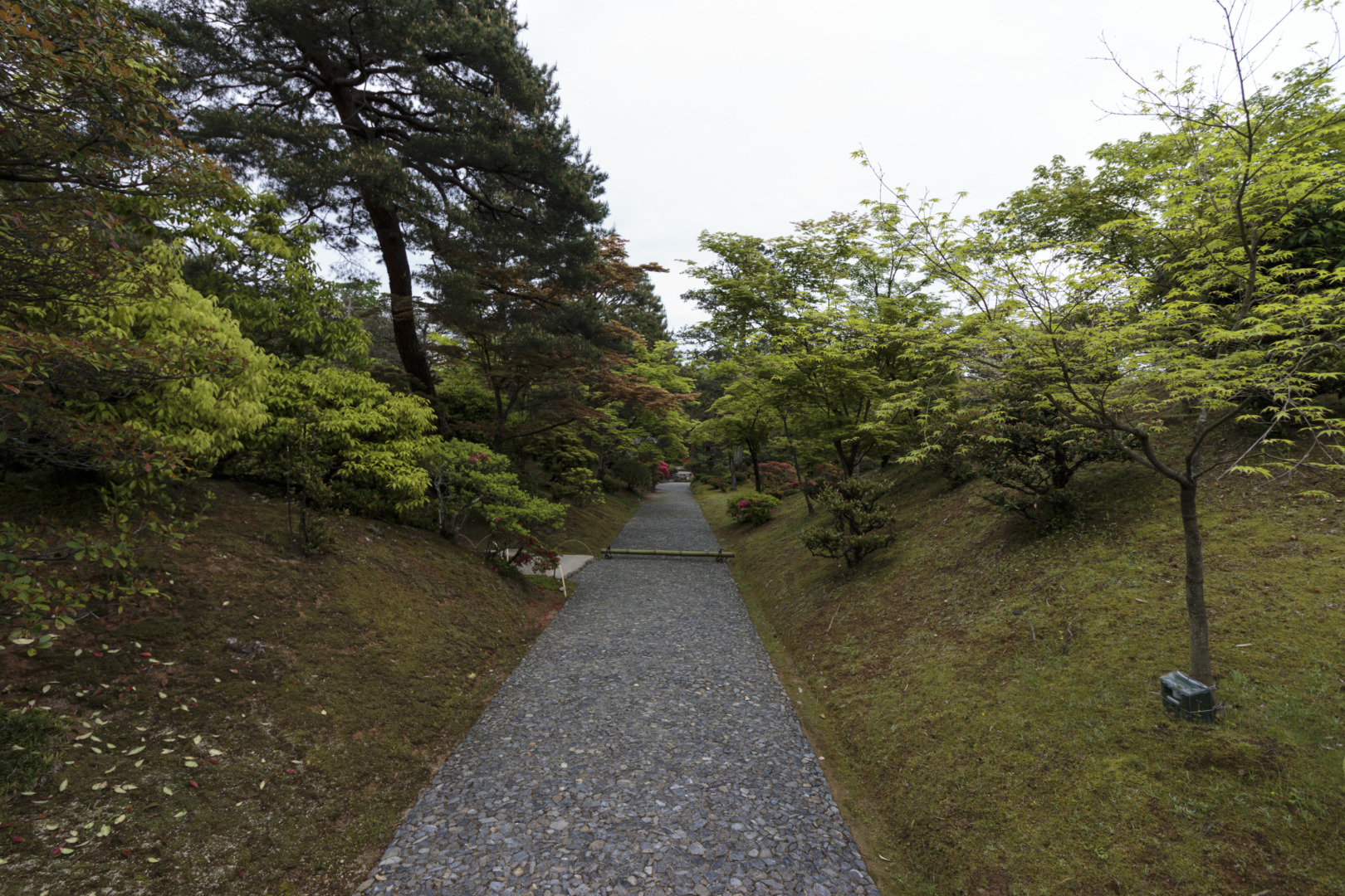 京都 桂離宮 穂垣 御幸門 表門 腰掛 蘇鉄山 松琴亭 賞花亭 笑意軒 園林堂 書院 月波楼 中門｜ar'teryx ZIN'｜田畑雅行｜ar'teryx｜建築設計室 アーキテリクス｜名古屋の設計事務所