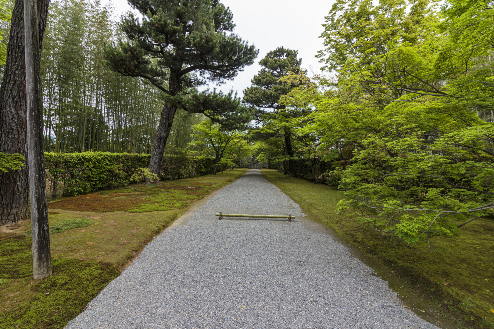 京都 桂離宮 穂垣 御幸門 表門 腰掛 蘇鉄山 松琴亭 賞花亭 笑意軒 園林堂 書院 月波楼 中門｜ar'teryx ZIN'｜田畑雅行｜ar'teryx｜建築設計室 アーキテリクス｜名古屋の設計事務所