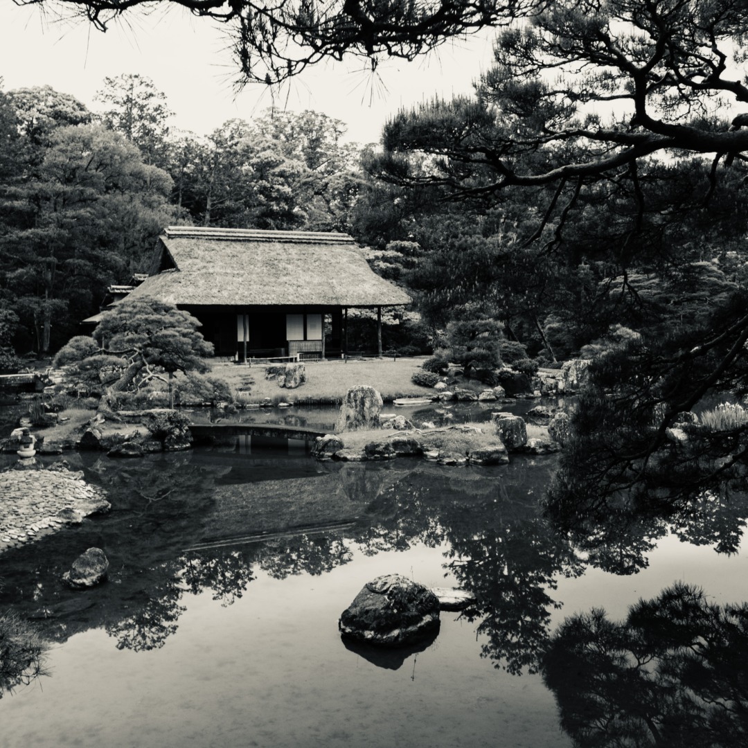京都 桂離宮 穂垣 御幸門 表門 腰掛 蘇鉄山 松琴亭 賞花亭 笑意軒 園林堂 書院 月波楼 中門｜ar'teryx ZIN'｜田畑雅行｜ar'teryx｜建築設計室 アーキテリクス｜名古屋の設計事務所