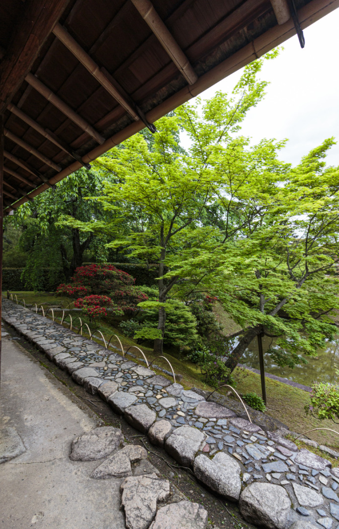 京都 桂離宮 穂垣 御幸門 表門 腰掛 蘇鉄山 松琴亭 賞花亭 笑意軒 園林堂 書院 月波楼 中門｜ar'teryx ZIN'｜田畑雅行｜ar'teryx｜建築設計室 アーキテリクス｜名古屋の設計事務所