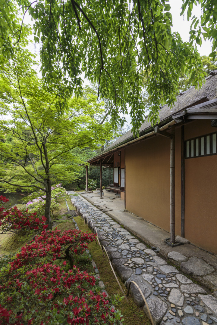 京都 桂離宮 穂垣 御幸門 表門 腰掛 蘇鉄山 松琴亭 賞花亭 笑意軒 園林堂 書院 月波楼 中門｜ar'teryx ZIN'｜田畑雅行｜ar'teryx｜建築設計室 アーキテリクス｜名古屋の設計事務所
