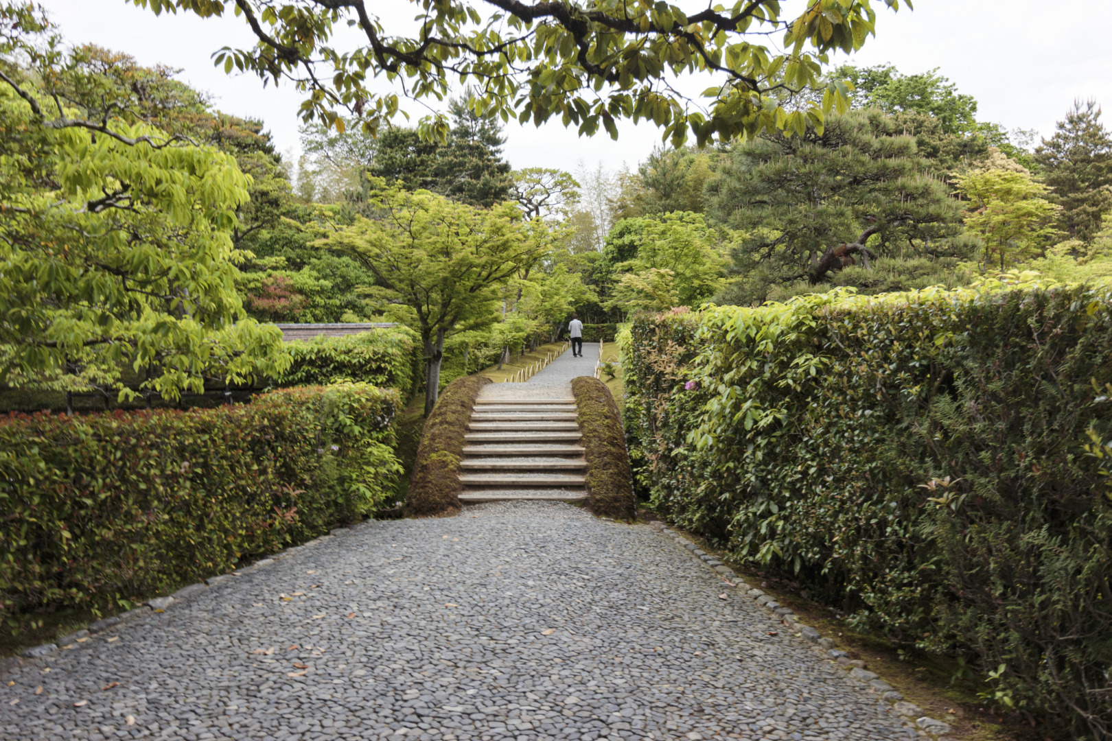 京都 桂離宮 穂垣 御幸門 表門 腰掛 蘇鉄山 松琴亭 賞花亭 笑意軒 園林堂 書院 月波楼 中門｜ar'teryx ZIN'｜田畑雅行｜ar'teryx｜建築設計室 アーキテリクス｜名古屋の設計事務所