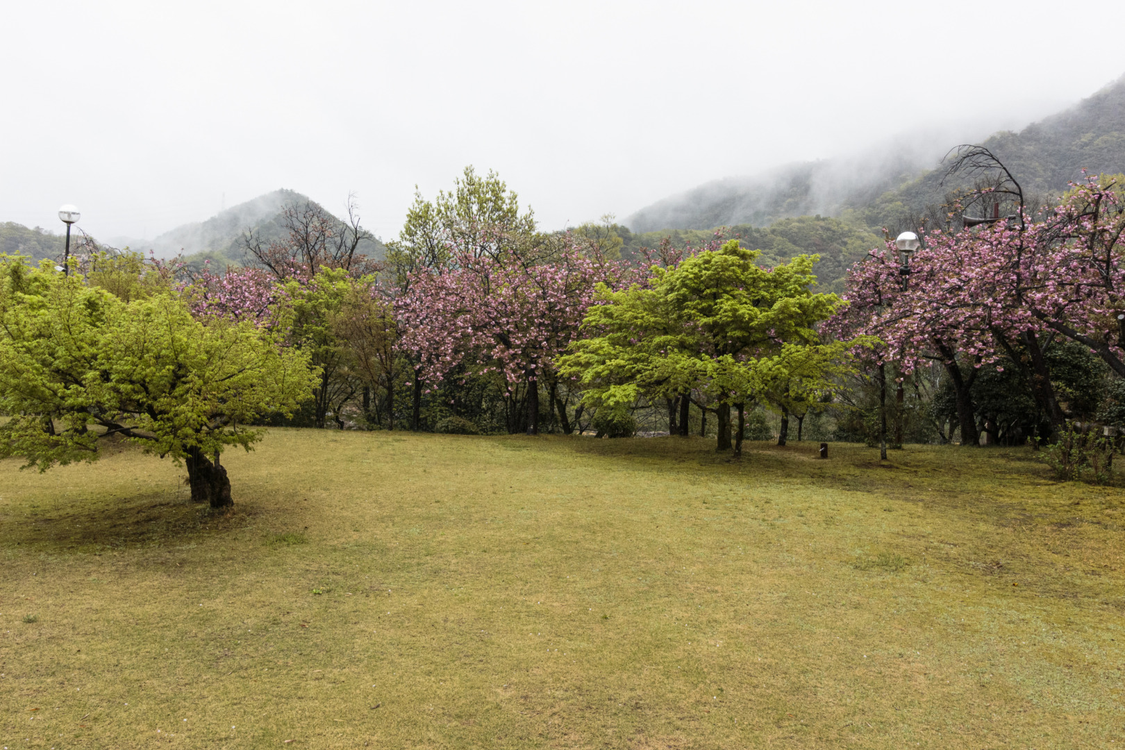 鵜沼｜萬松園 旧川上家別邸｜貞照寺｜ar'teryx ZIN'｜田畑雅行｜ar'teryx｜建築設計室 アーキテリクス｜名古屋の設計事務所