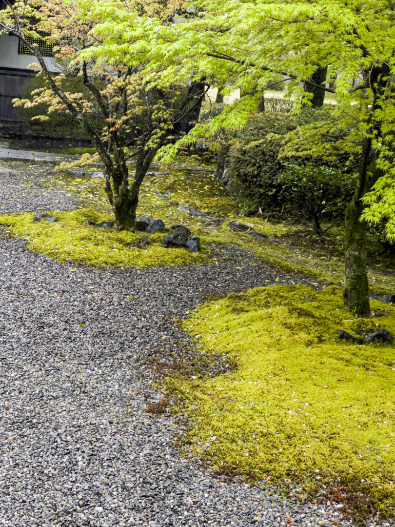 鵜沼｜萬松園 旧川上家別邸｜貞照寺｜ar'teryx ZIN'｜田畑雅行｜ar'teryx｜建築設計室 アーキテリクス｜名古屋の設計事務所