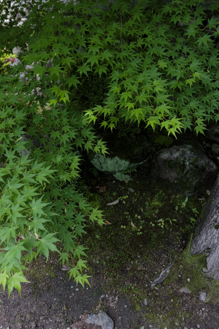 鵜沼｜萬松園 旧川上家別邸｜貞照寺｜ar'teryx ZIN'｜田畑雅行｜ar'teryx｜建築設計室 アーキテリクス｜名古屋の設計事務所
