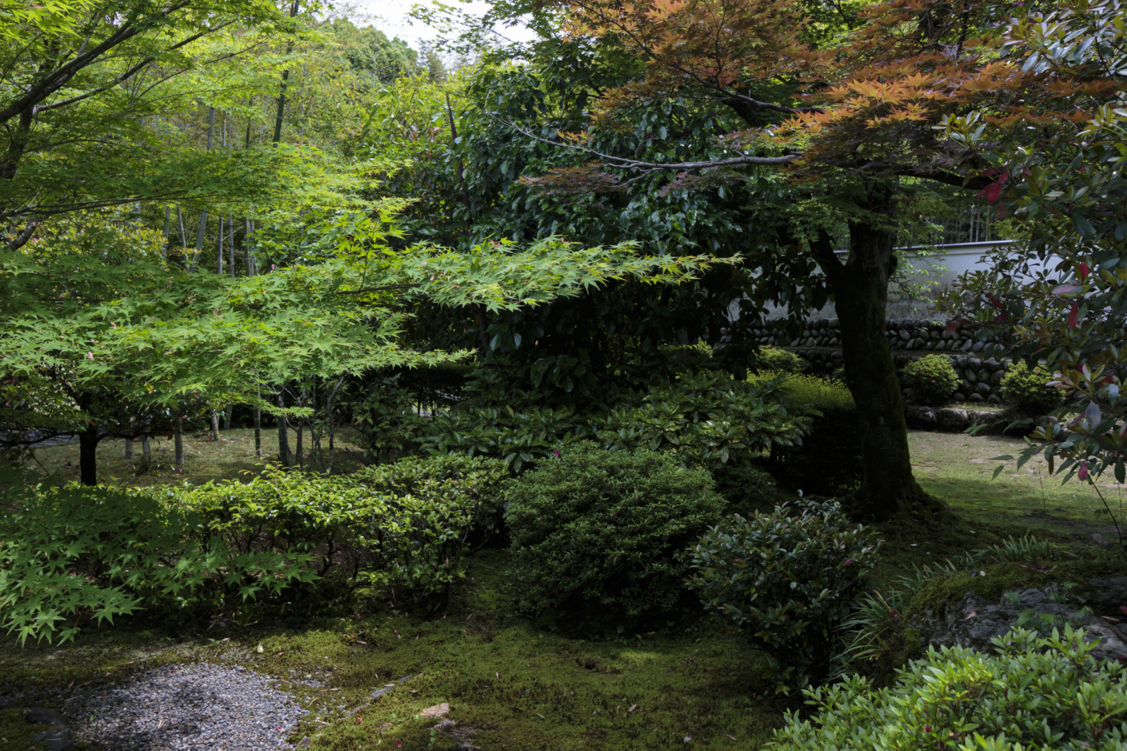 鵜沼｜萬松園 旧川上家別邸｜貞照寺｜ar'teryx ZIN'｜田畑雅行｜ar'teryx｜建築設計室 アーキテリクス｜名古屋の設計事務所