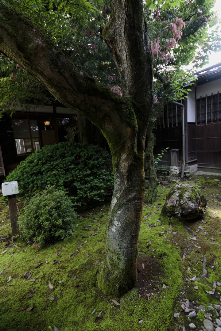 鵜沼｜萬松園 旧川上家別邸｜貞照寺｜ar'teryx ZIN'｜田畑雅行｜ar'teryx｜建築設計室 アーキテリクス｜名古屋の設計事務所