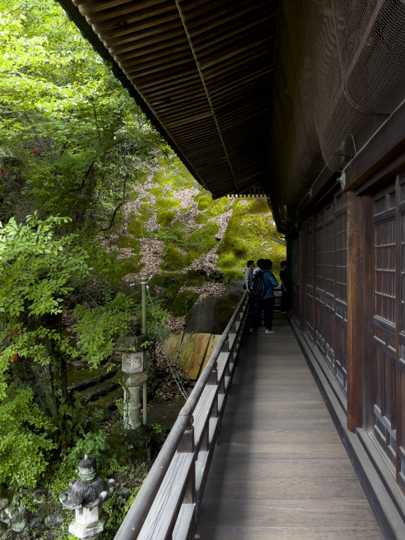 鵜沼｜萬松園 旧川上家別邸｜貞照寺｜ar'teryx ZIN'｜田畑雅行｜ar'teryx｜建築設計室 アーキテリクス｜名古屋の設計事務所