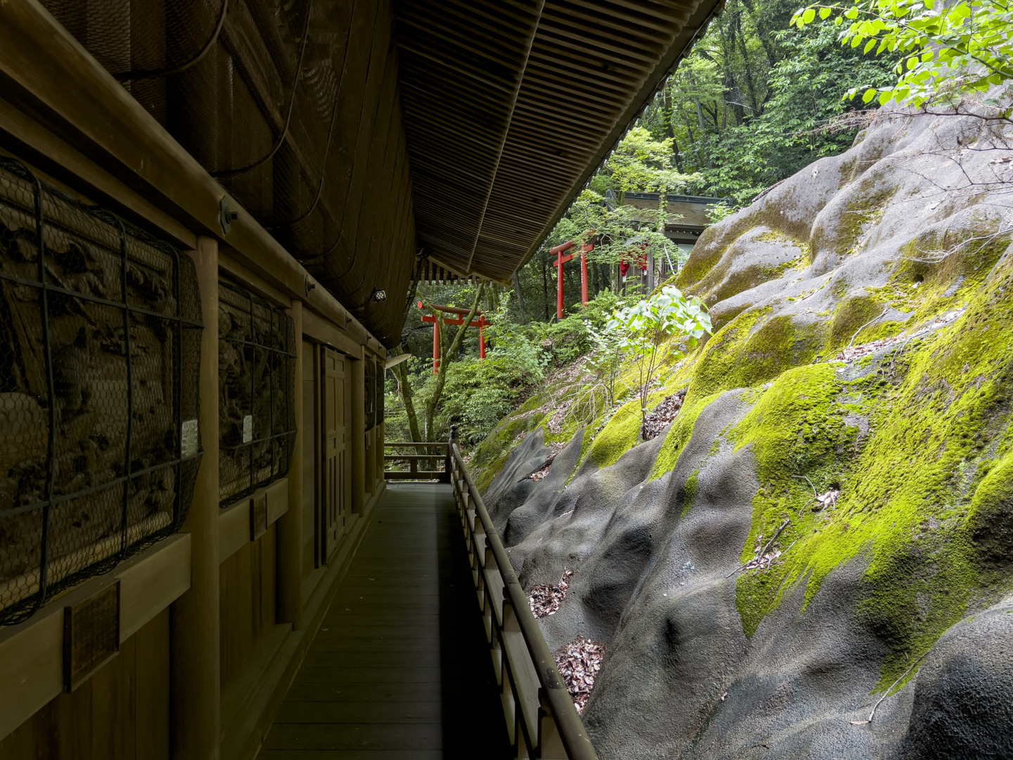鵜沼｜萬松園 旧川上家別邸｜貞照寺｜ar'teryx ZIN'｜田畑雅行｜ar'teryx｜建築設計室 アーキテリクス｜名古屋の設計事務所